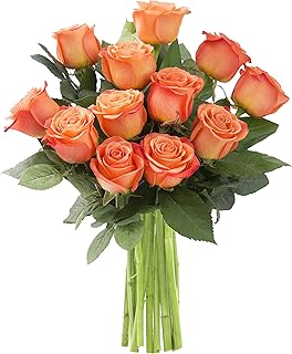 KaBloom PRIME NEXT DAY DELIVERY - Mother’s Day Collection - Bouquet of 12 Fresh Orange Roses (Farm-Fresh, Long-Stem).Gift for Birthday, Sympathy, Anniversary, Mother’s Day Fresh Flowers