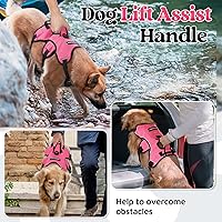 Vista 3 de rabbitgoo Arnés para perro a prueba de escapes, arnés suave acolchado de cuerpo completo para mascotas, chaleco reflectante ajustable sin tirones