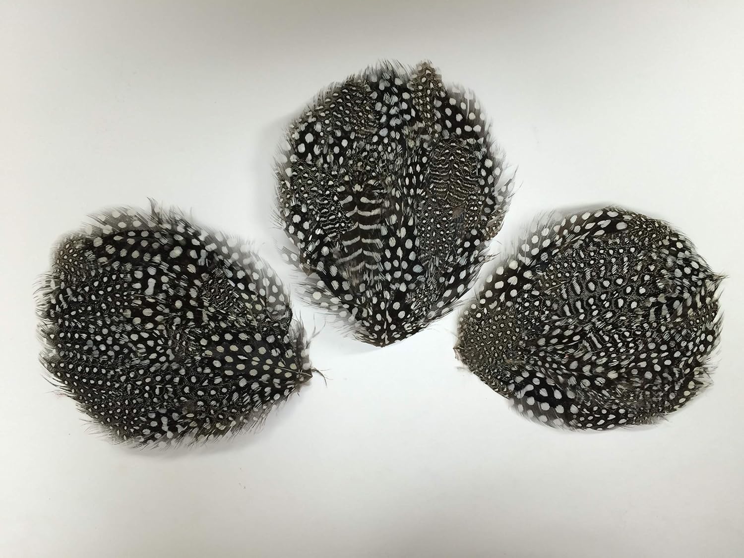 Crafting Natural Guinea Feather Pad - 12pcs Millinery Hat Fascinators for Women
