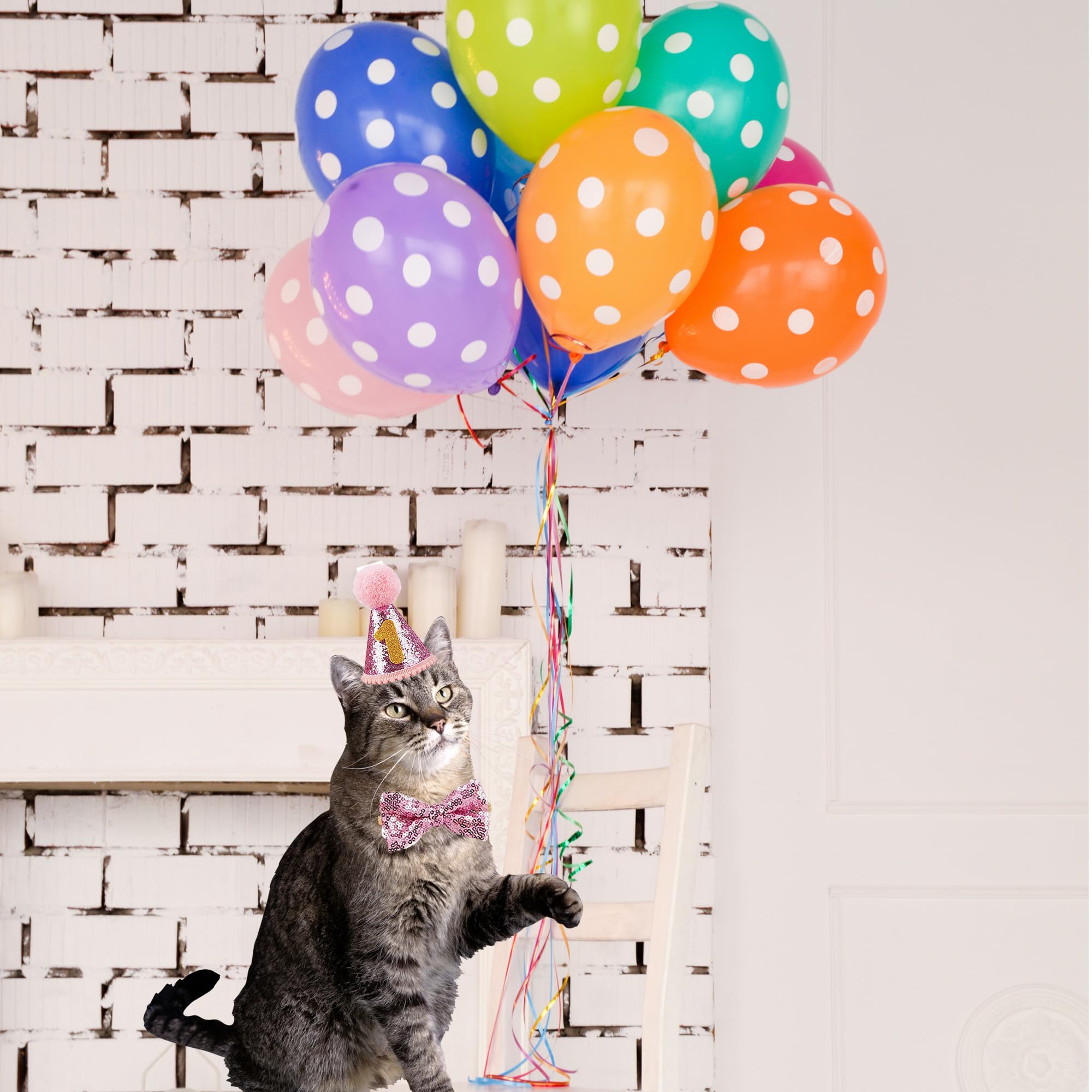 Cappello Compleanno Cane Con Papillon | Decorazione Festa Animali Domestici | Regalo Carino - Foto 7