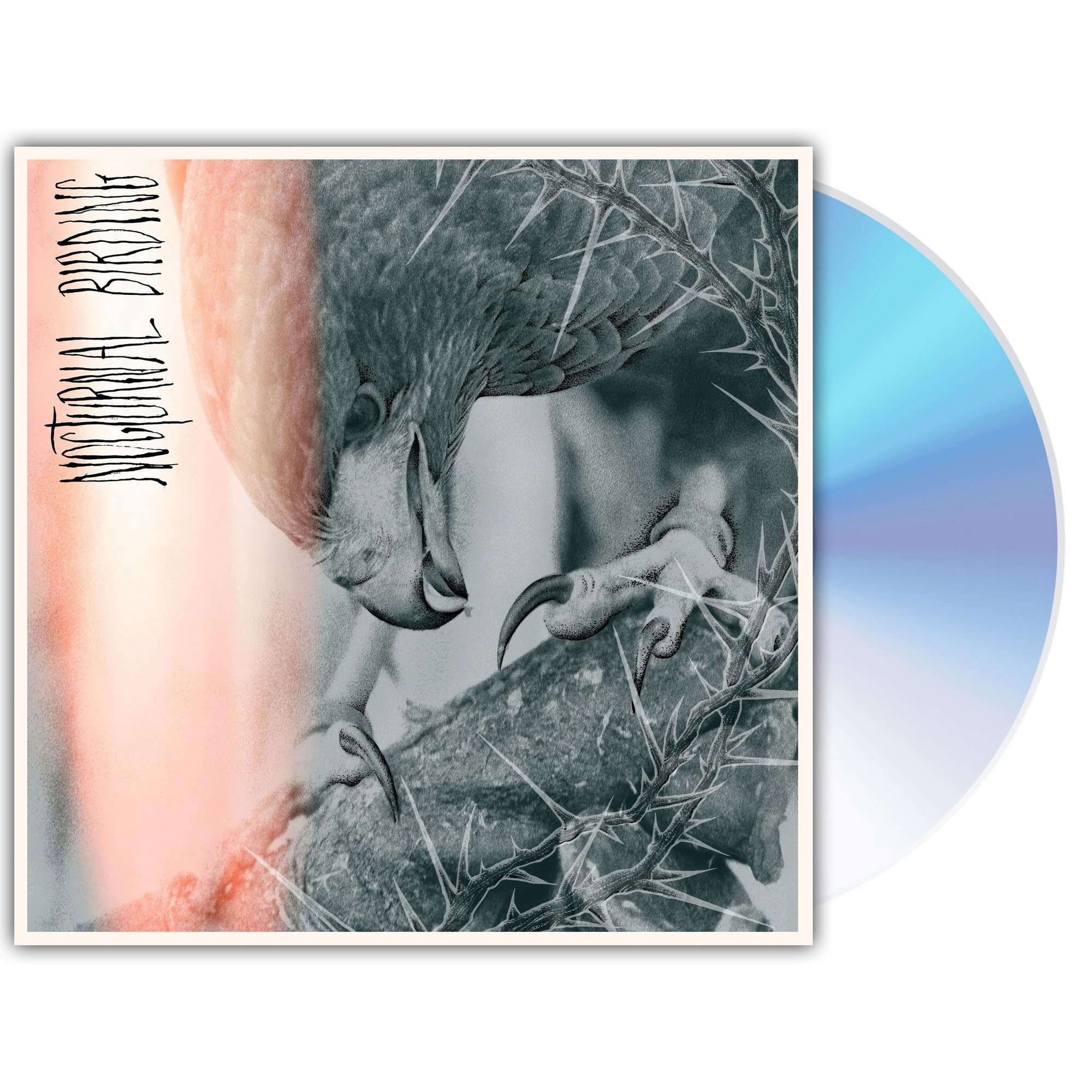 AUTHOR & PUNISHER - Nocturnal Birding - CD