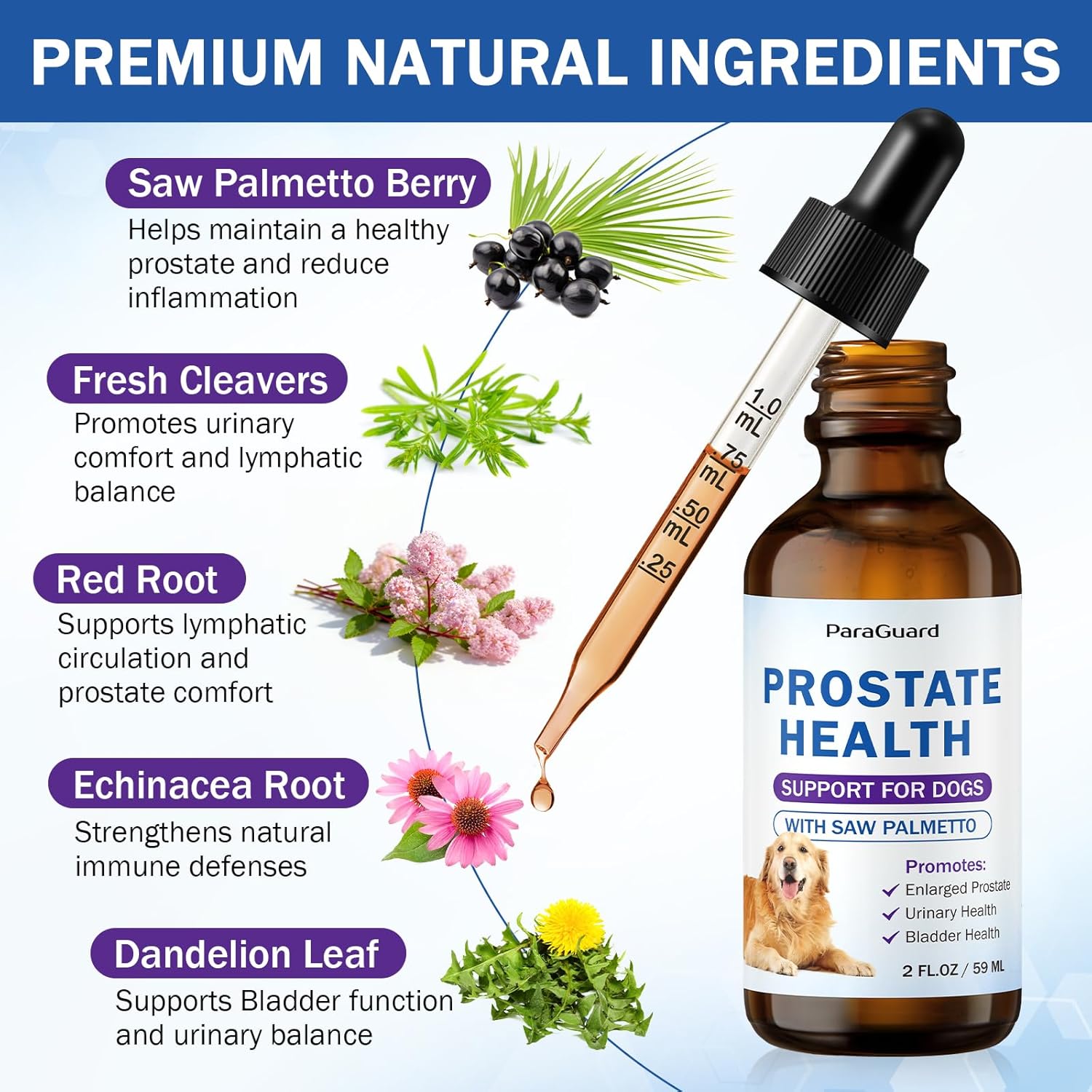 Herbal Drops for Dogs Prostate and Bladder Health, with Saw Palmetto, Relieves Enlarged Prostate, Promotes Immune System, Supports Urinary & Bladder Health for Male Dogs, Natural Herbal Supplement