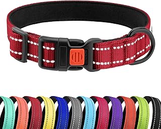 CollarDirect Reflektierendes Hundehalsband für kleinen, mittelgroßen, großen Hund, Welpen mit Schnellverschluss, Hündin, Rüde, 48 Sorten, Nylon Wasserfest product image