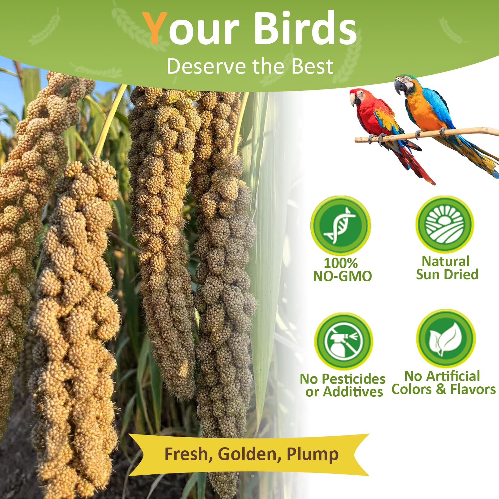 Spray Millet for Birds 5LB - All Natural Sun-Dried Healthy Treat, Millet Spray for Parakeets, Parrots, Lovebirds, Cockatiels Food, 100% Non-GMO High Protein Fresh Bird Seed - Detailed View