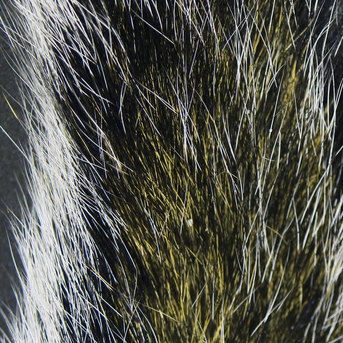 product_img5