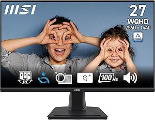 MSI PRO MP275Q 27 Inch 2K WQHD Office Monitor - 2560 x 1440 IPS Panel, 100 Hz, Eye-Friendly Screen, Built-in Speakers, Tilt-Adjustable - HDMI 2.0b, DP (1.2a)