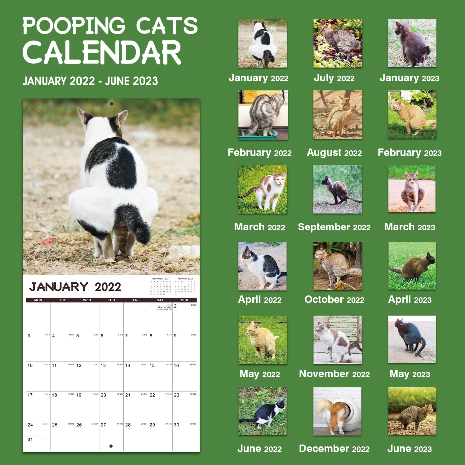 Buy 2022 Wall Calendar Pooping Cat Calendar 2022, Starts from Jan
