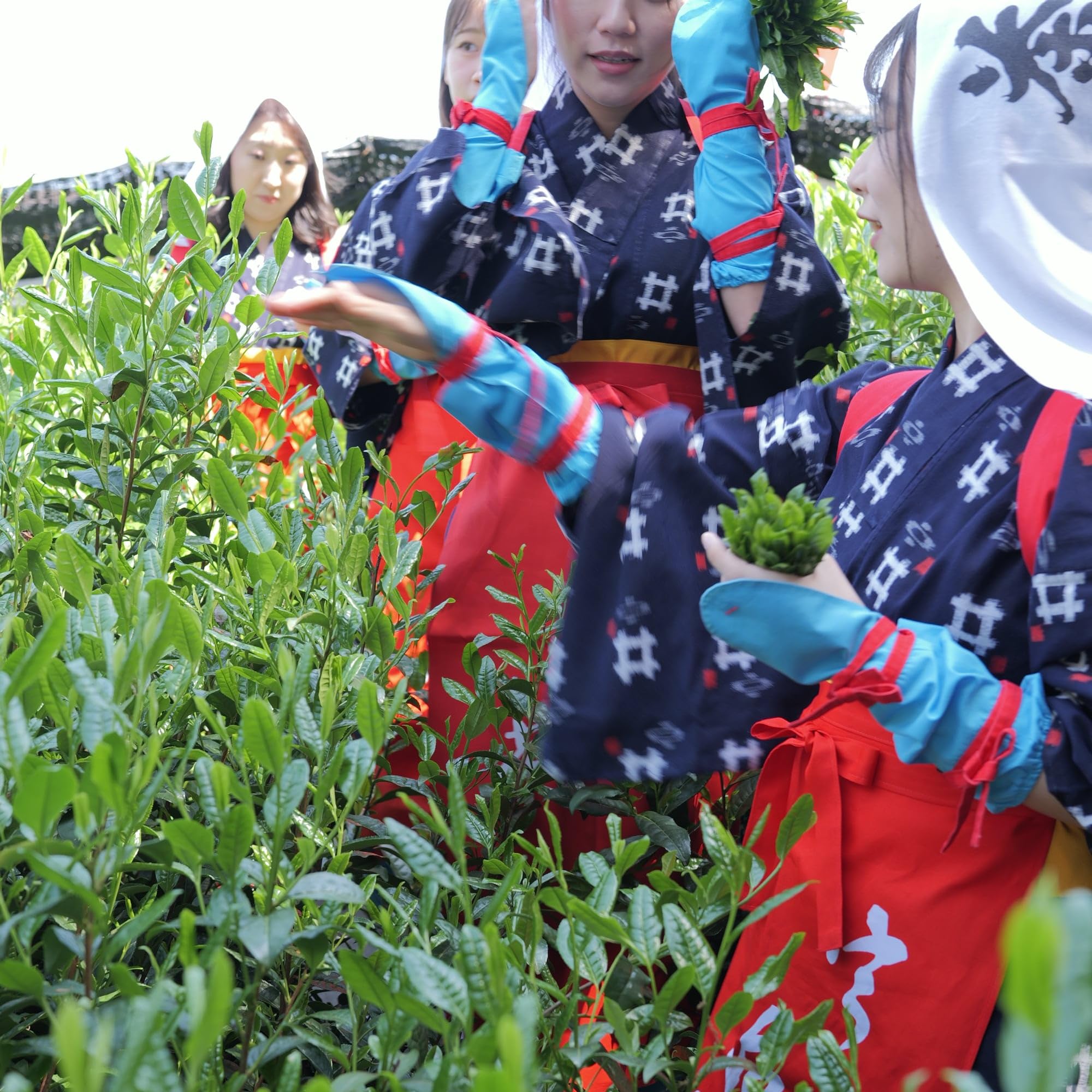 Amazon | 上林春松本店 抹茶 祖母昔 40gケース入り 濃茶用 宇治抹茶
