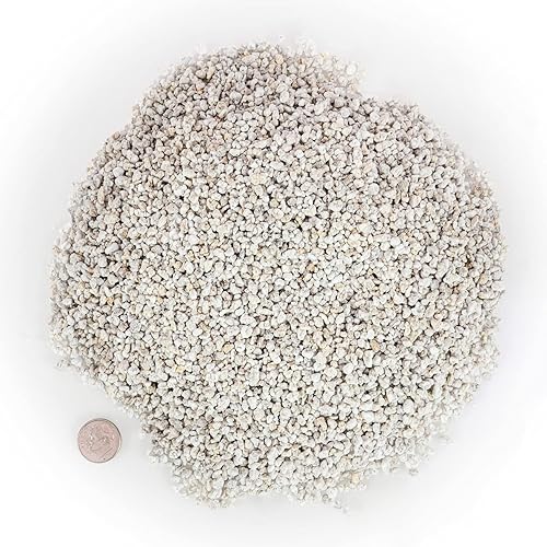 Miniatura 5 de Gardenera Perlita orgánica, grado mediofino (bolsa de 1 cuarto de galón) Enmienda de suelo hortícola para plantas de contenedores de interior y