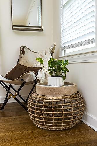 Miniatura 9 de Creative Co-op - Bandeja de madera de Paulownia tallada a mano