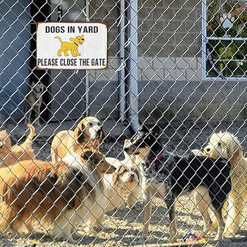 Miniatura 5 de Letrero divertido con texto en inglés "Beware Of Dog" (Beware Of Dog) - Letrero de advertencia para cerca, letrero de hojalata para perro, con texto