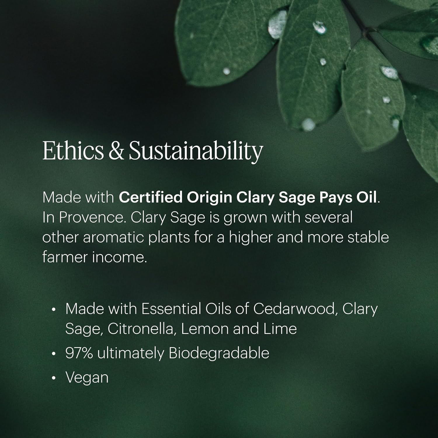 Aera Home Hygiene Citrus and Sage - Essential Oil for Home - Fresh Zest Fragrance - Notes of Lemon,Lime and Geranium- Scent Refill - Works with The Aera Diffusers - Image 5