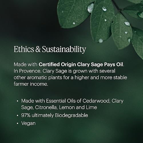 Miniatura 4 de Aera Mini higiene del hogar, cítricos y salvia, aceite esencial para el hogar, fragancia de ralladura fresca, notas de limón, lima y geranio,