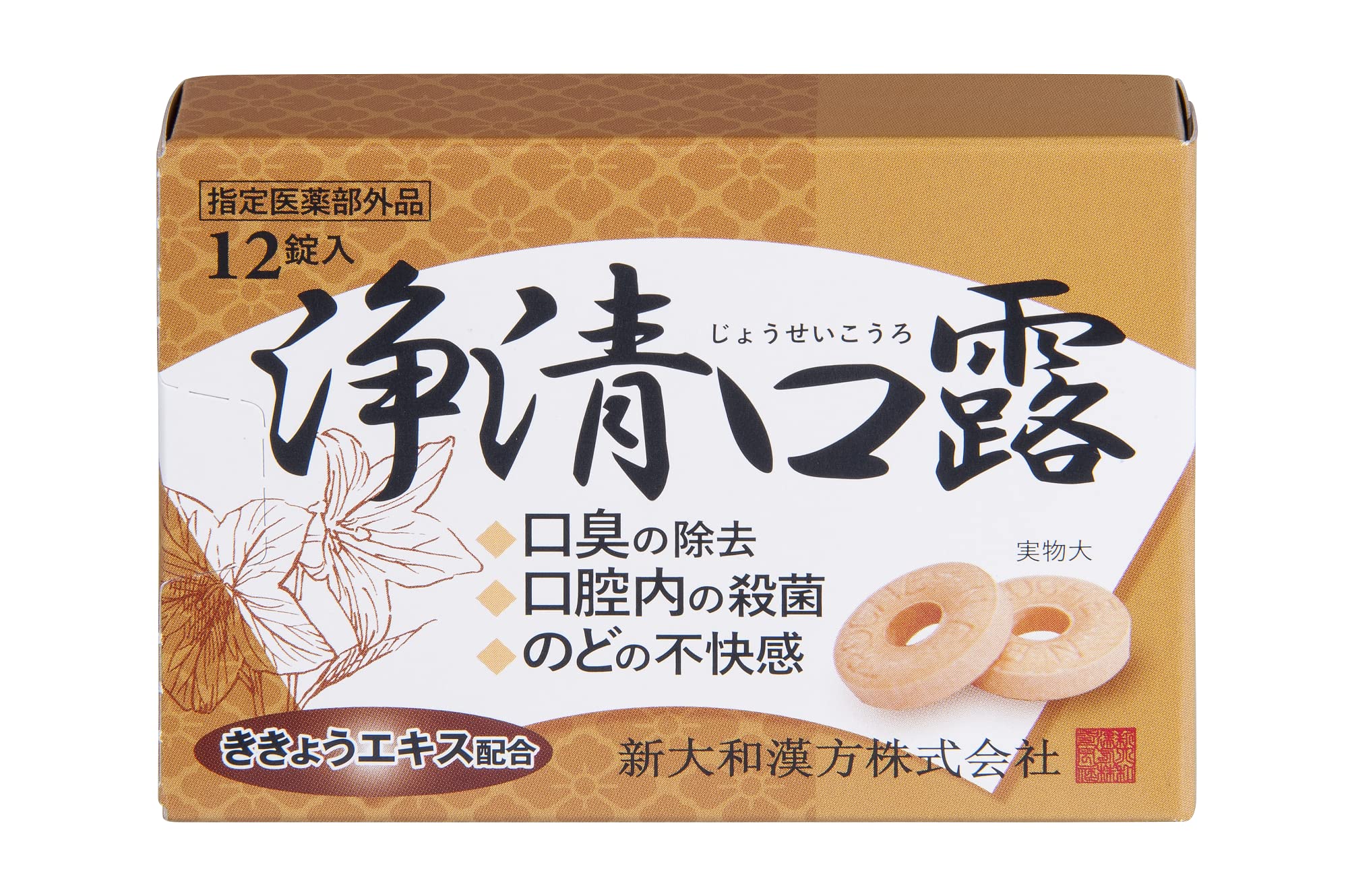 新品未使用　標準口腔外科学 ラカルト110g|Hisamitsu Wellness Online(久光ウエルネス