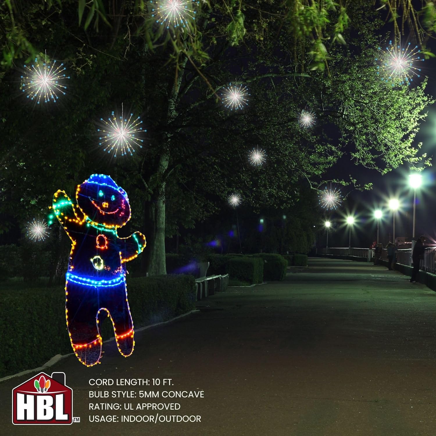 Holiday Bright Lights LED 24 Indoor/Outdoor 3D Radiant Blast - Silver/Multi
