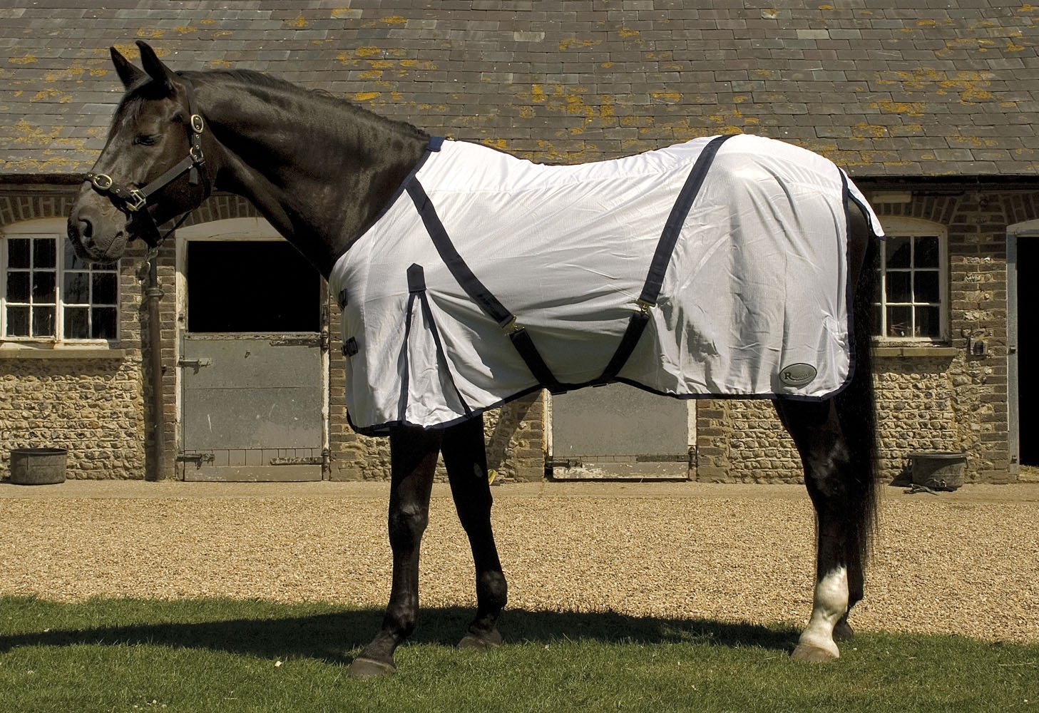 Rhinegold Fly Rug With Neck Cover-4/9-White