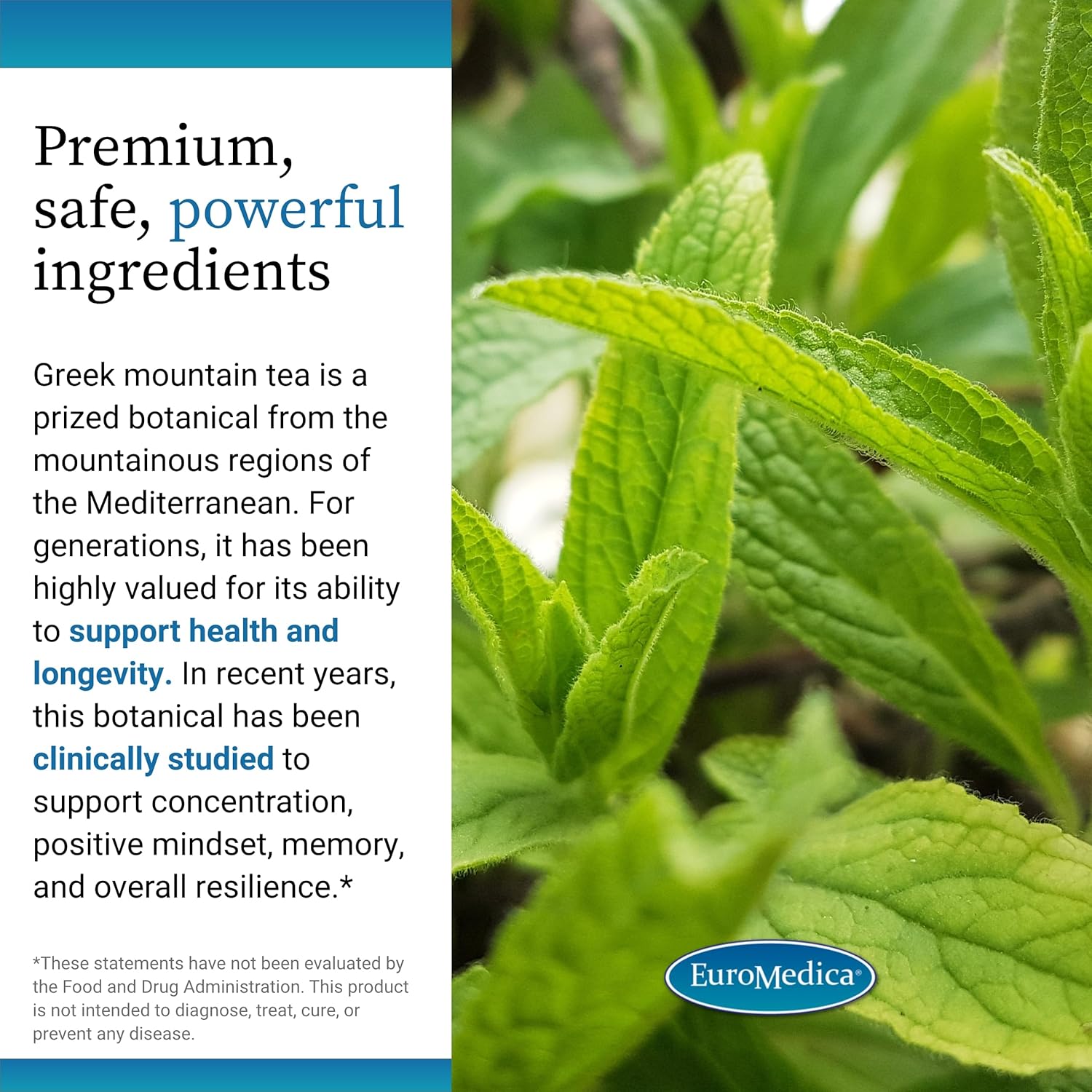 EuroMedica Cognitive Health Plus - Healthy Brain Supplement to Support Focus & Memory - Non-GMO & Vegan Supplement with Greek Mountain Tea & Botanicals - 30 Capsules (30 Servings) - Image 5