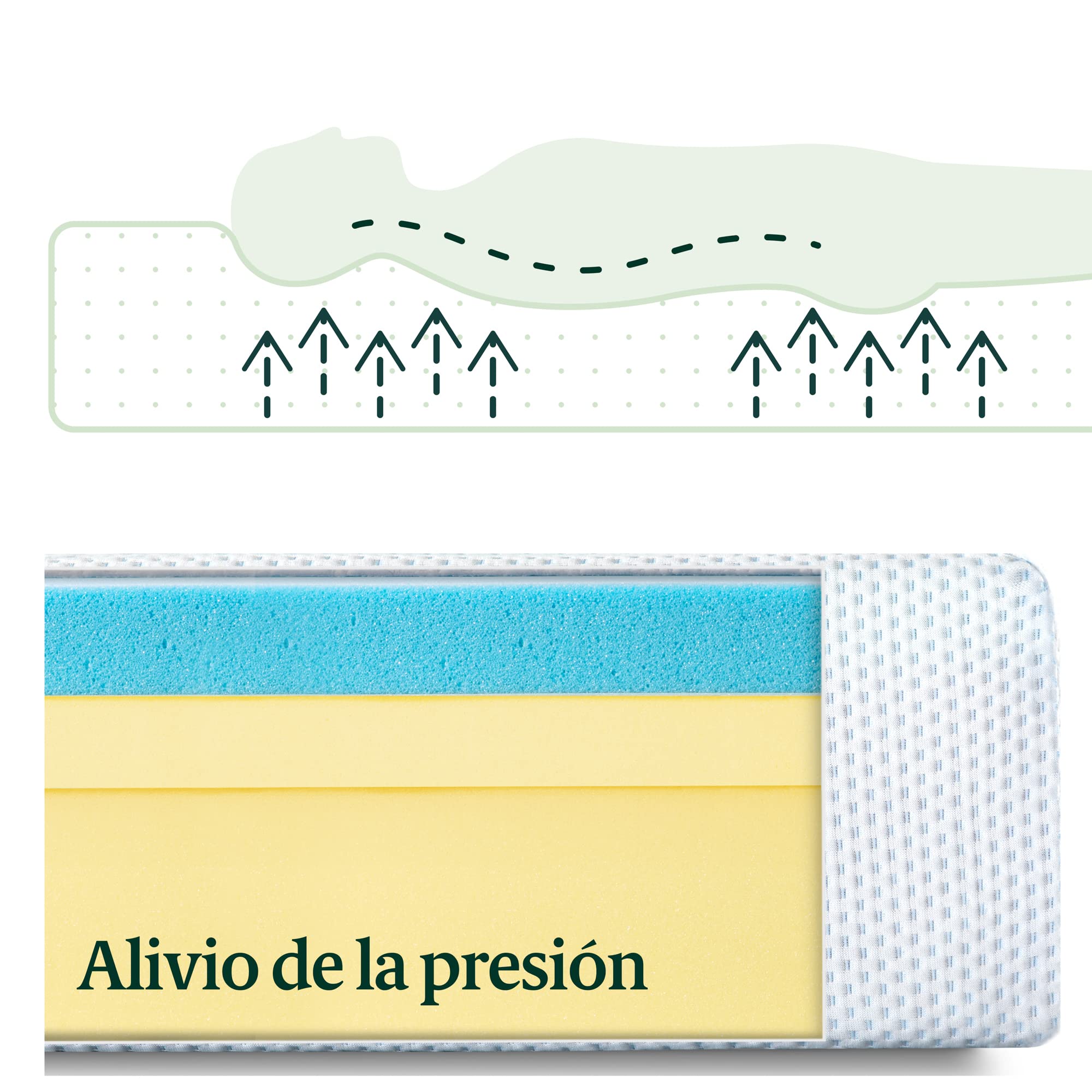 Zinus Colchón de Espuma viscoelástica con Gel refrescante, impregnada de extracto de té Verde, 150 x 200 cm, Altura 25 cm, colchón en una Caja, Oeko-Tex