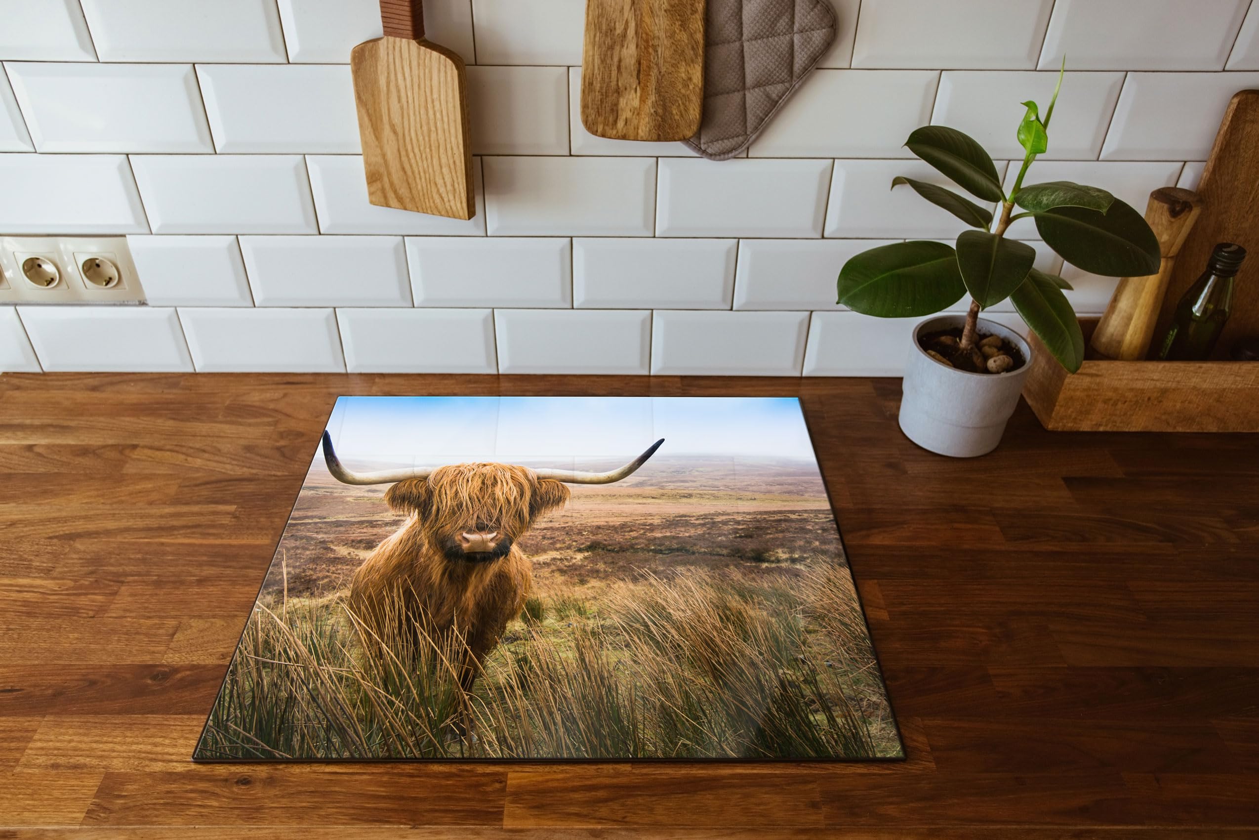 Highland Rind mit großen Hörnern Steppe Herdabdeckplatte & Spritzschutz aus Echtglas | Für Herd-Kochfelder | 60x52 cm