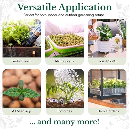 Miniatura 4 de HydraGreens - Alimento para plantas, enriquecido con nutrientes y minerales de algas marinas para jardines interiores y exteriores, 8 onzas, para