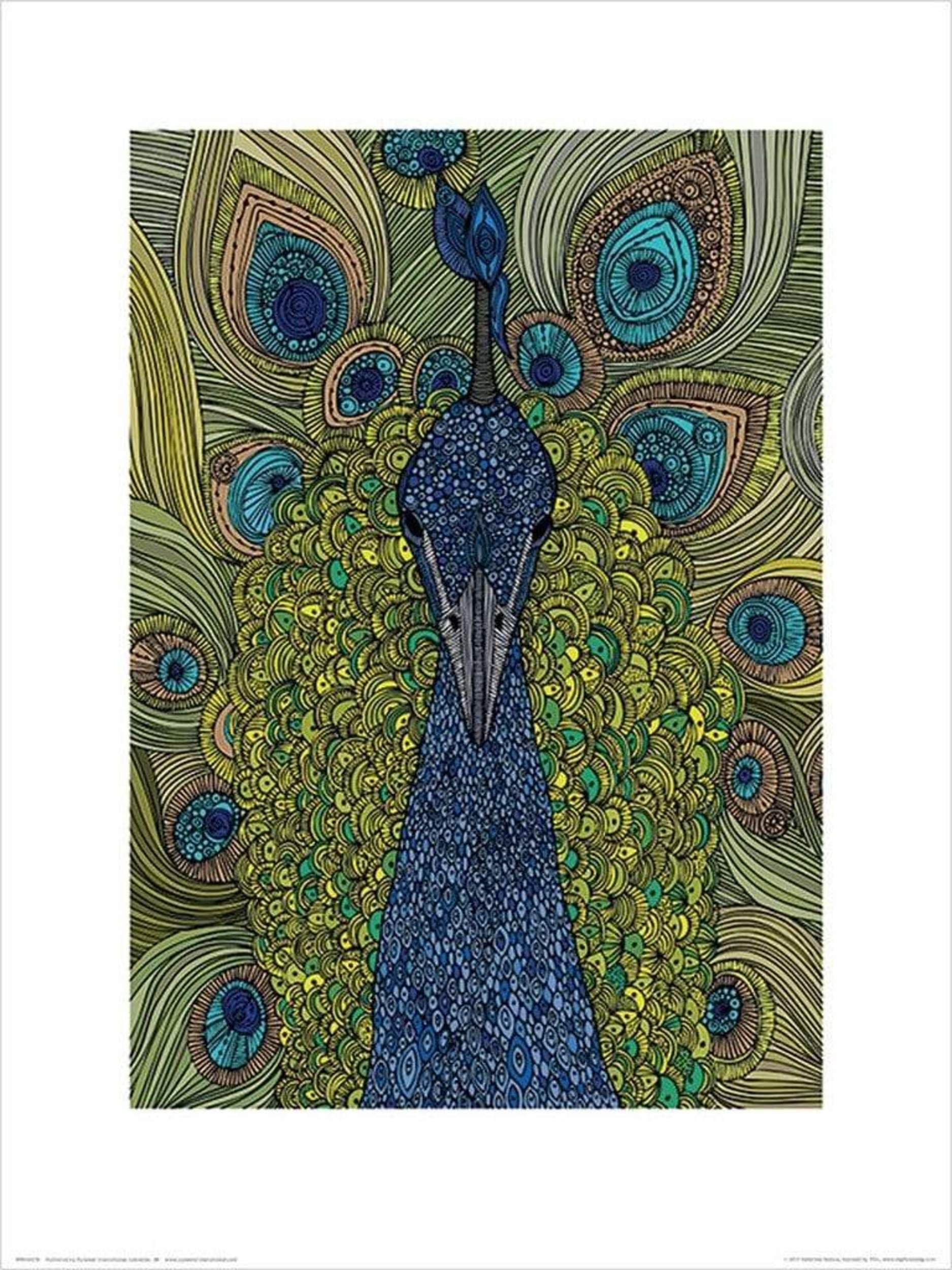 Pyramid International Valentina Ramos (the Peacock) -Art Print 30 x 40cm, Paper, Multicoloured, 30 x 40 x 1.3 cm