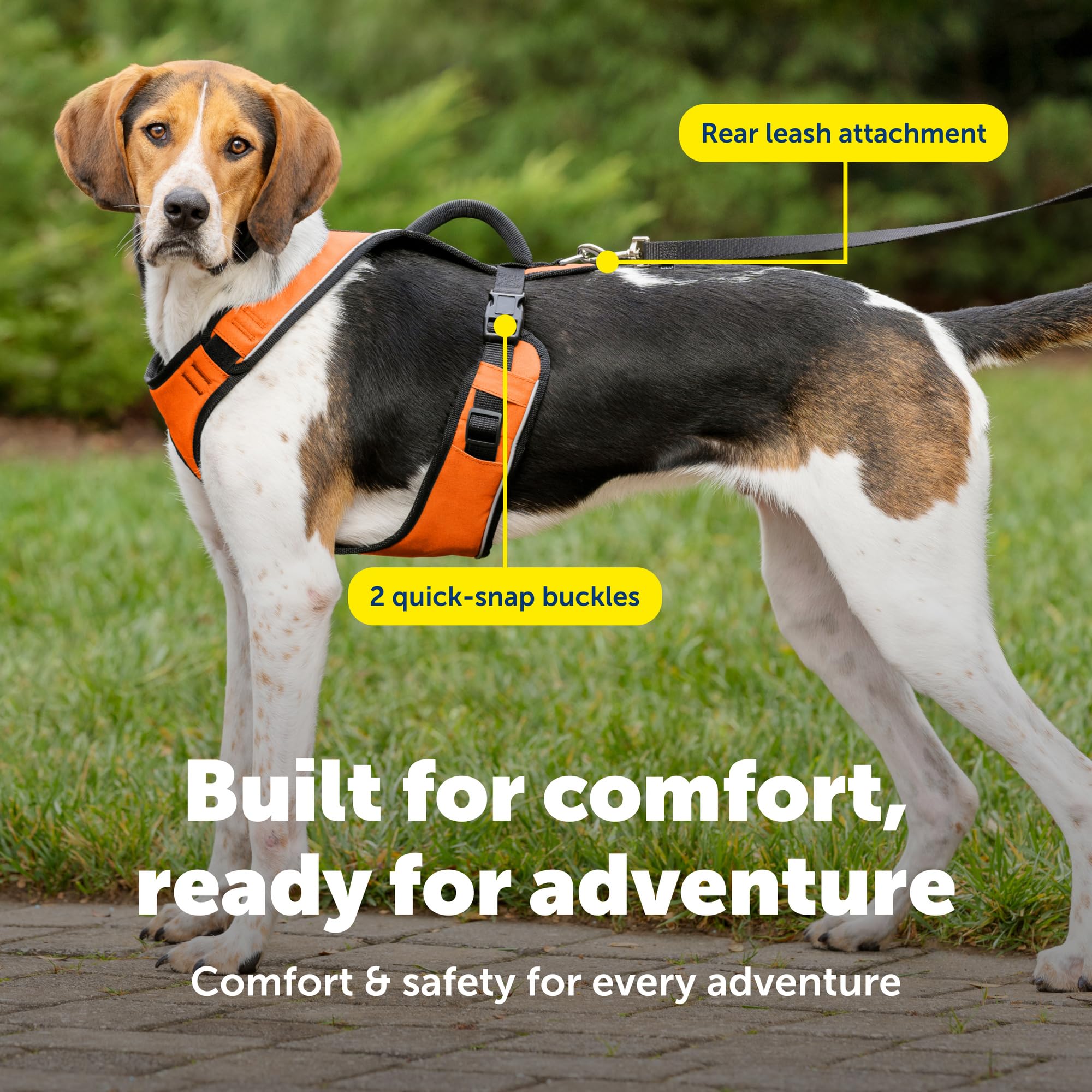 PetSafe EasySport Harnais rembourré réglable pour Chien avec poignée de contrôle et Passepoil réfléchissant Orange Taille L