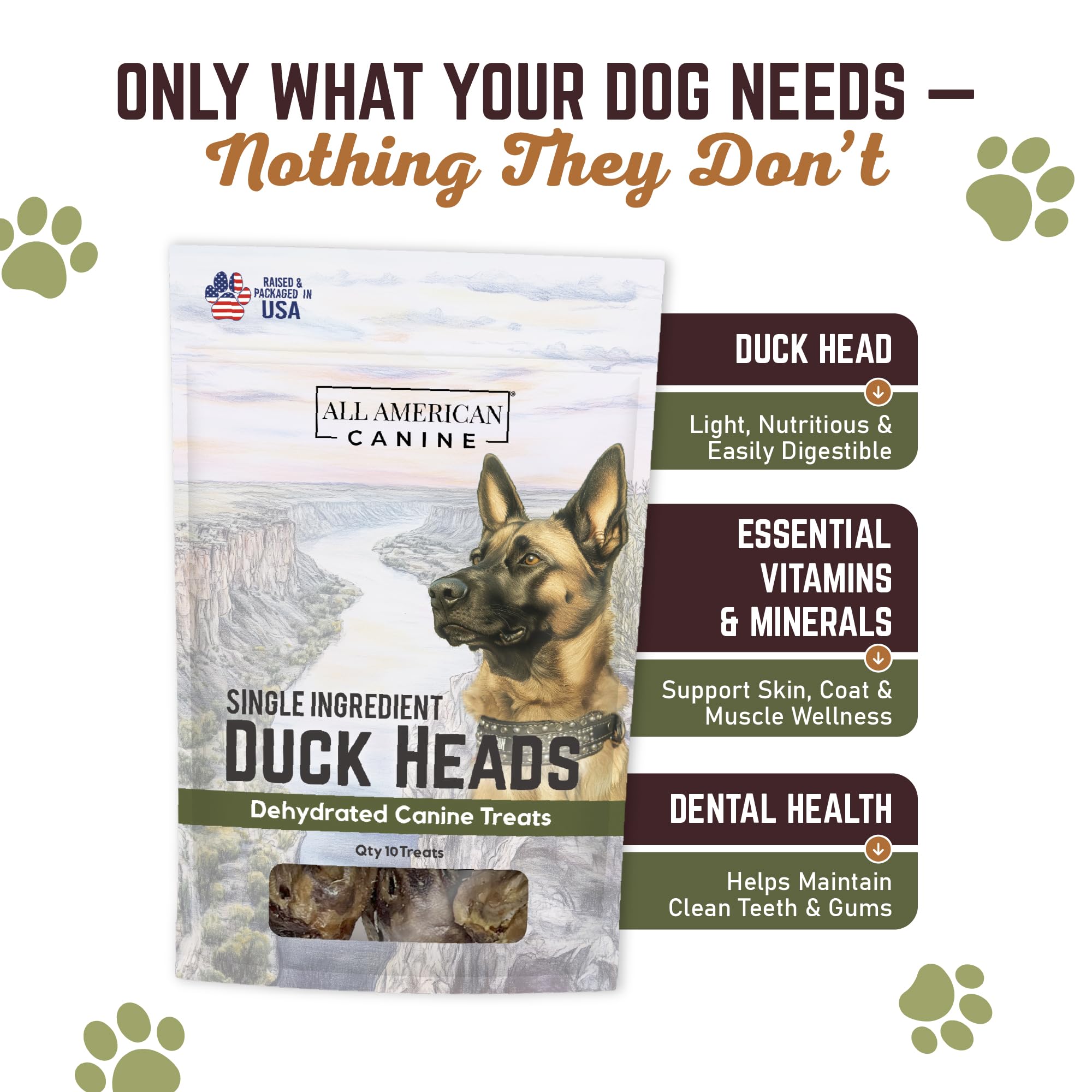 All American Canine Entenköpfe für Hunde, dehydrierte Hundeleckerlis, 10 Stück | Dehydrierte ganze Entenköpfe | High Protein Low Fat Chew | Unterstützt Zähne und Training | Getreidefrei | Made in USA