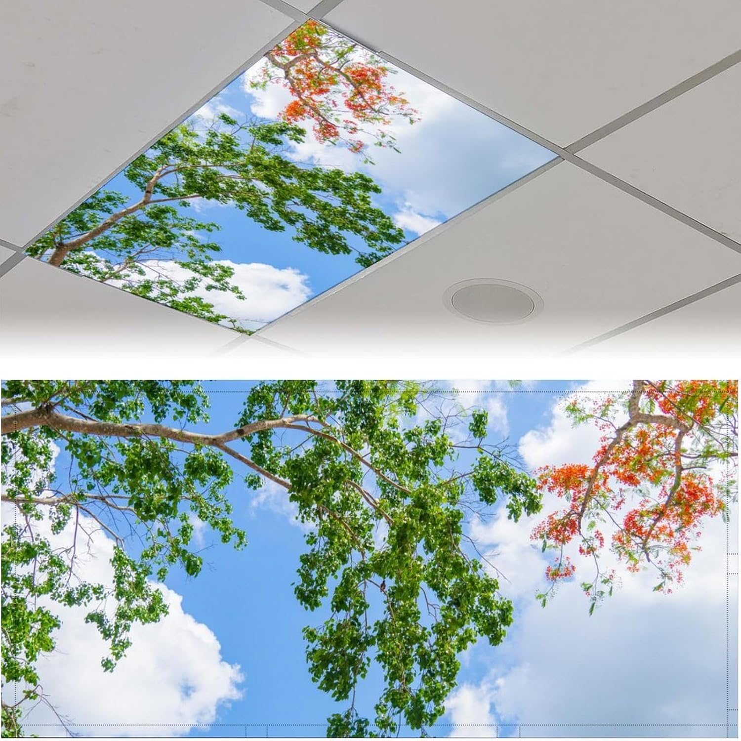 RoseFace 2PCS Fluorescent Light Covers for Classroom Ceiling Lights Magnetic Light Covers,Fluorescent Light Filters for School Home Office Drop Ceiling Lamp Decor Light Filters 4x2Feet(Autumn Tree)