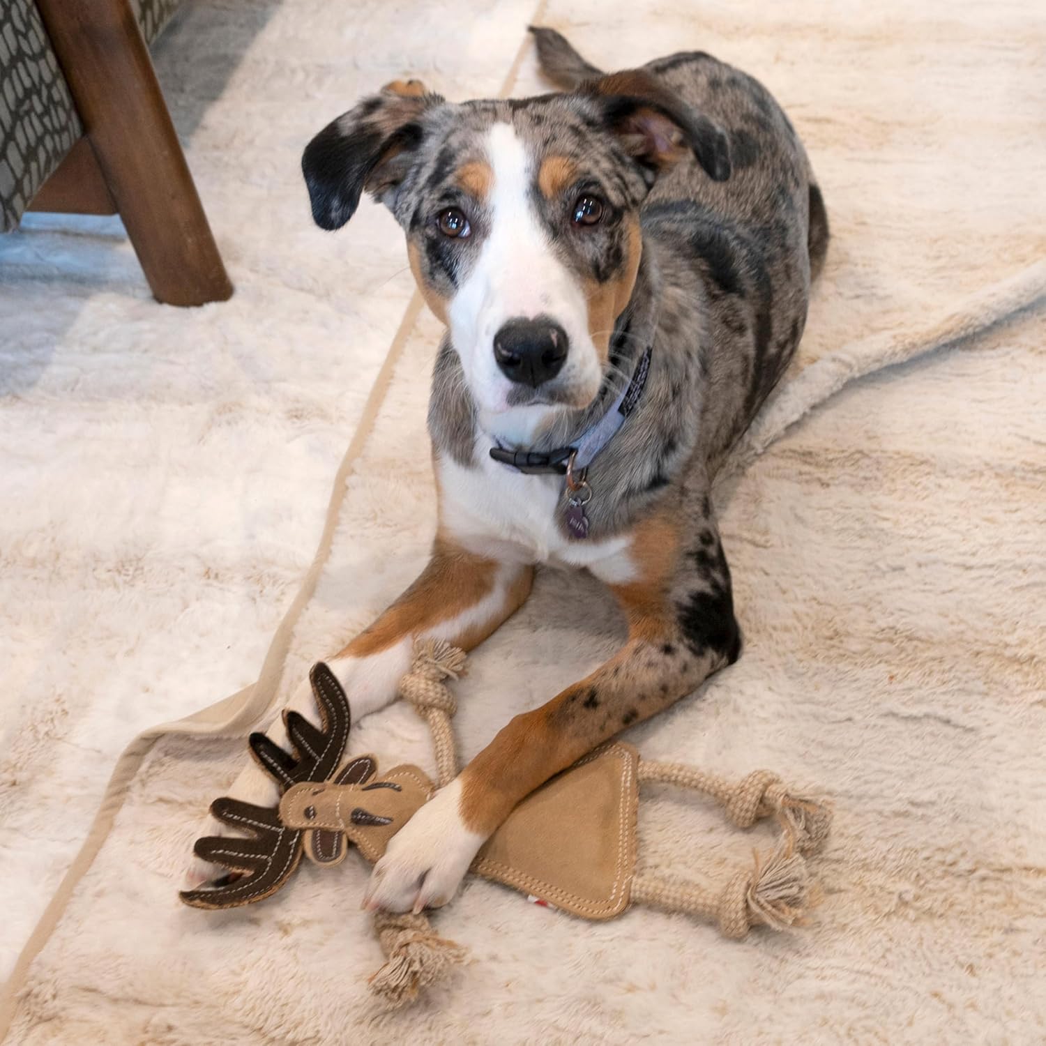 Ethicalペットdura-fusedレザーAssortedフォレスト動物犬玩具、14 "