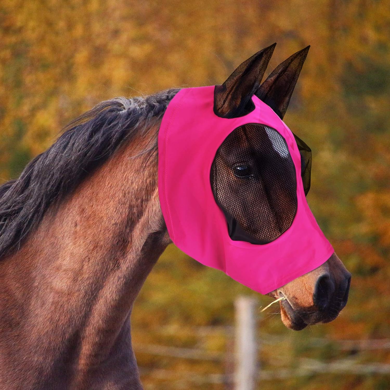 2 Pieces Horse Fly Mask Horse Mask with Ears Smooth and Elasticity Fly Mask with UV Protection (Purple, Pink) : Pet Supplies
