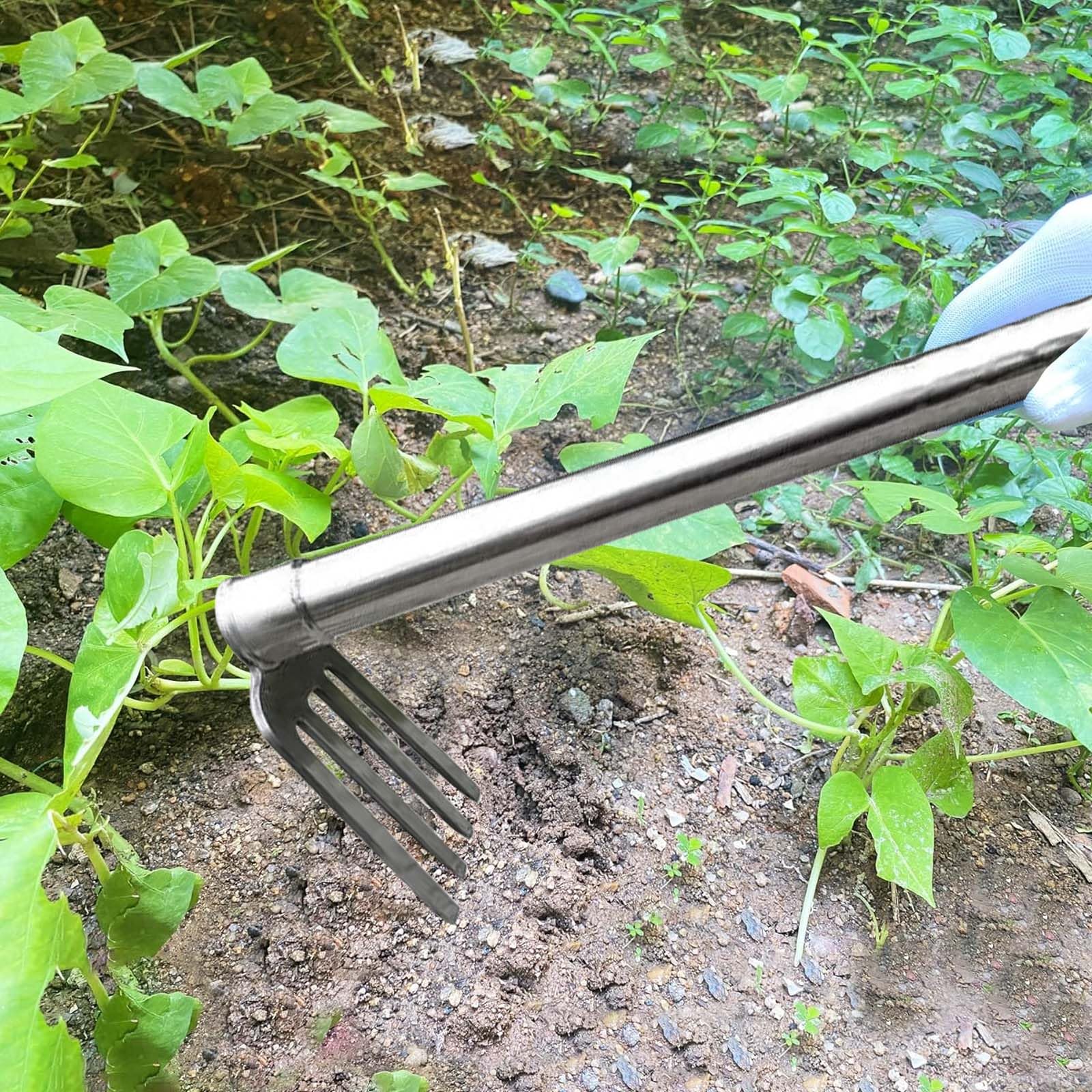 Unkraut Entferner Gerät Edelstahl, Unkrautjäter Unkrautzieher Unkrautmesser Wurzelstecher Entferner Gerät Unkraut Stecher Harke, Fugenkratzer Mit Stiel Gartenwerkzeug (40 cm,Vierteiliges Set)