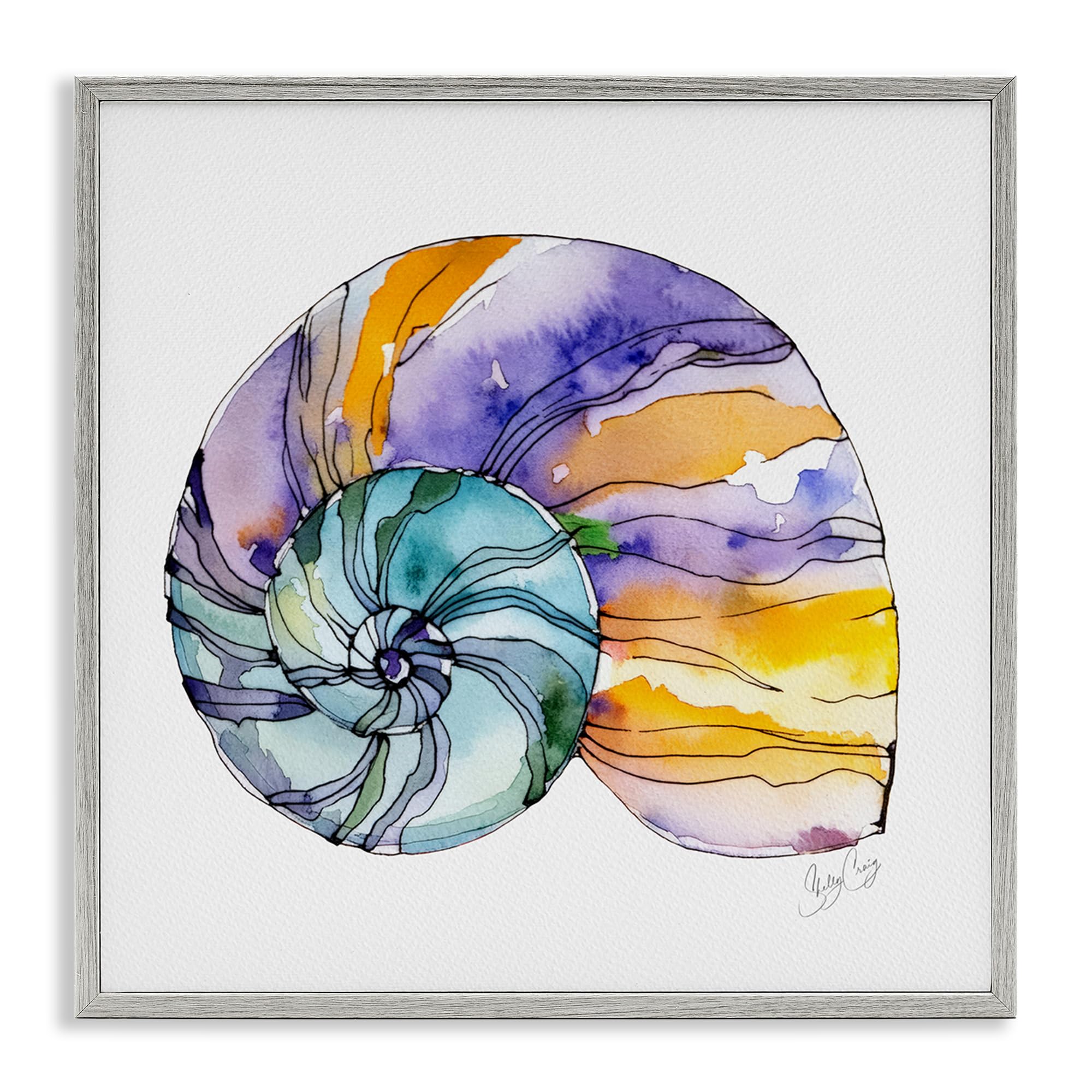 Stupell Industries 'Sunlit Striped Nautilus', Framed Giclee Art, Gray, 17 x 17 Inches, Easy to Hang and Sturdy, Made in USA, by Shelly Craig