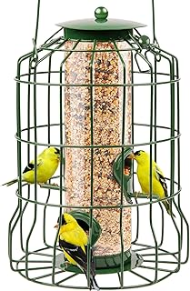 Gray Bunny Wild Bird Feeders Squirrel Proof for Outside Hanging, 1.25 lb Capacity Steel Bird Feeder Squirrel Proof for Sma...