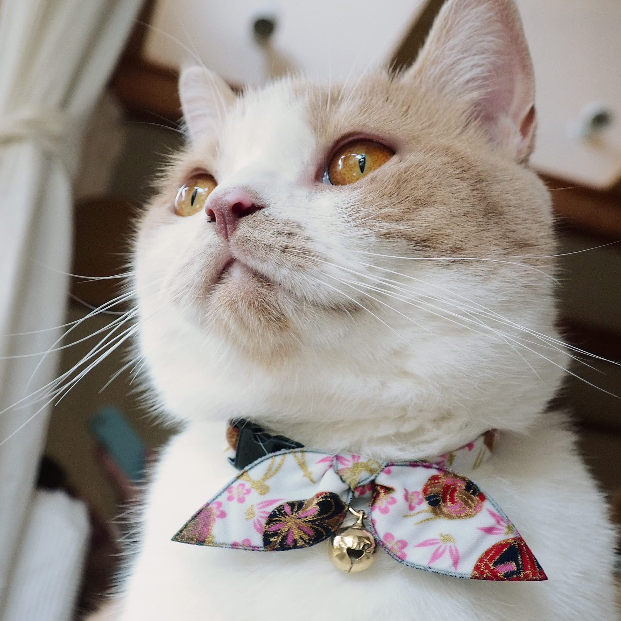 Necoichi Kimono - Collar para Gato, Color Blanco, 0,04 kg