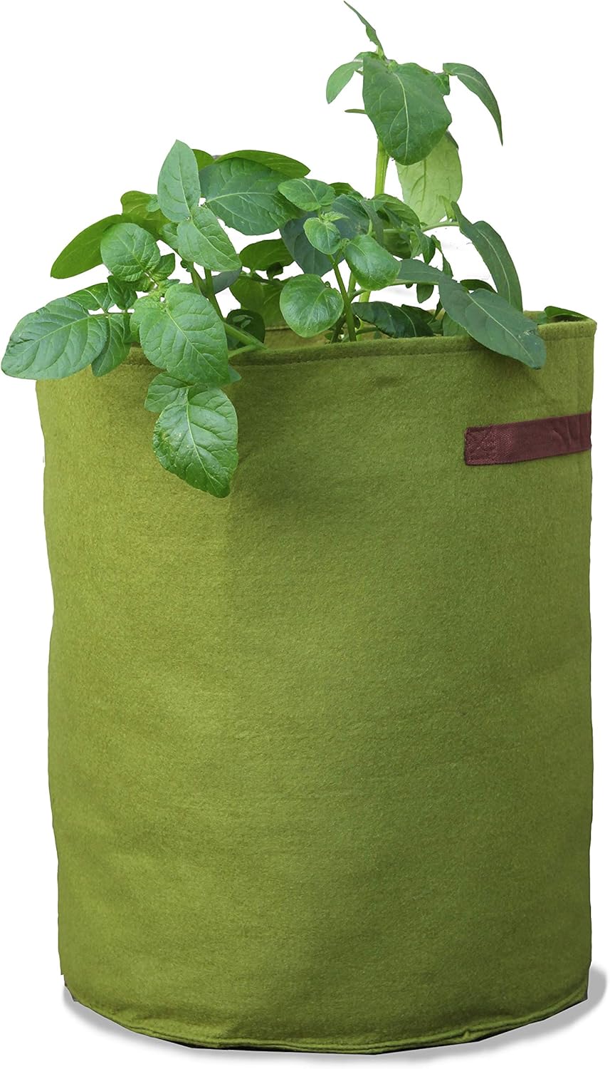 Tierra Garden 50VIG12 Haxnicks Vigoroot Tomato/Potato Planter Amazon