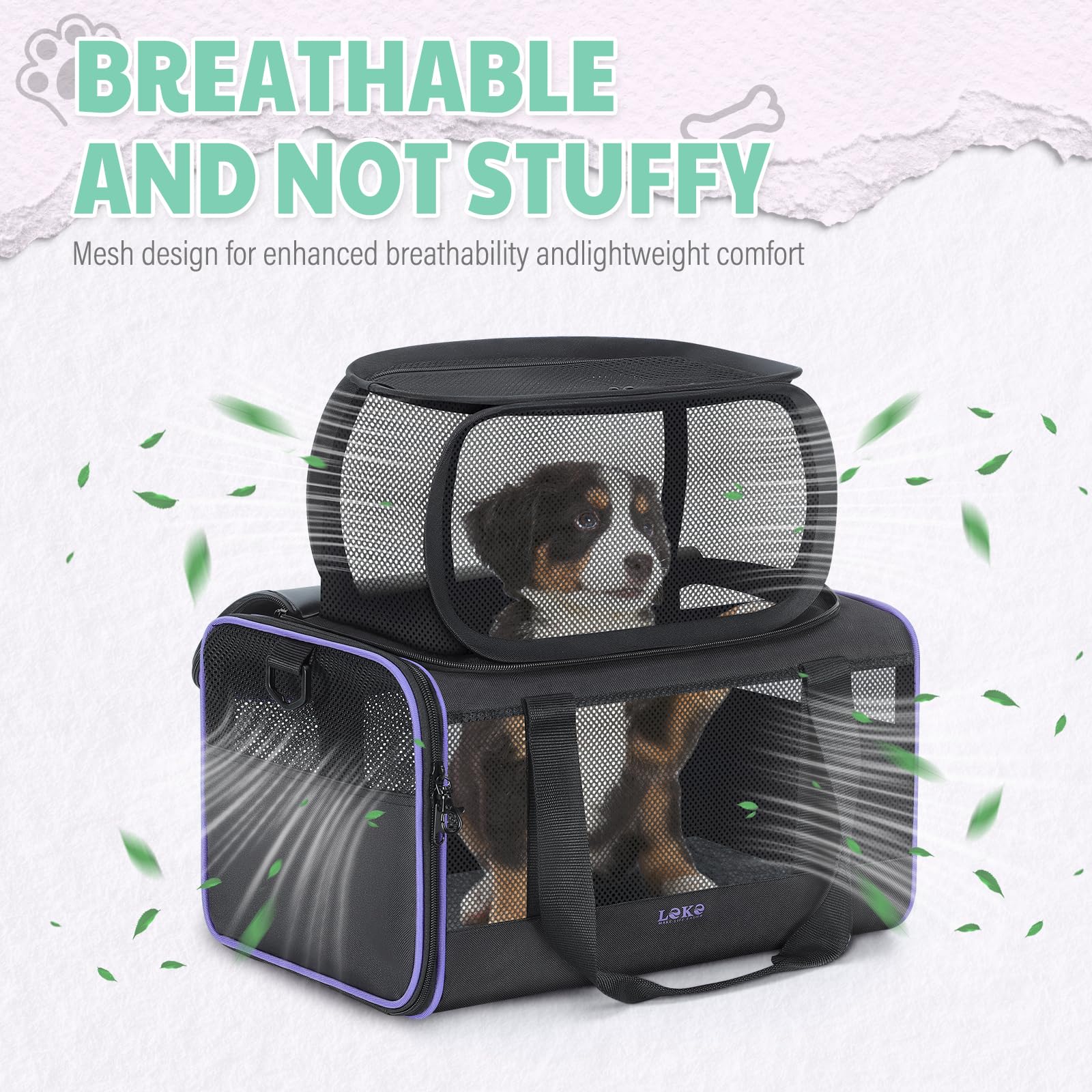 Hundetransporter Airline genehmigt Katze und Hund Carrier für kleine Hunde, Erweiterbare Transportbox für Haustiere von Fluggesellschaften zugelassen Katzentransportbox Reisetasche, Schwarz