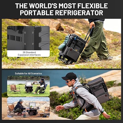 Miniatura 2 de LiTHELi FrozenPack Wild 12V Car Refrigerator & Portable Electric Cooler, 20L21QT with 2 U20 Batteries, Backpack Design, -468 Travel Fridge Freezer