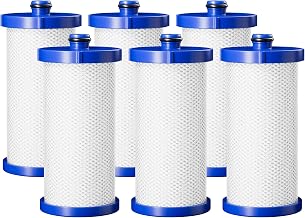 DESENRUIS Water Filter Replacement Compatible with Frigidaire RG100, NGRG2000,RWF2300A,DWF-23,R-9910,BCF84,WSF-2,BLZ-14222,Pack of 6,By DESENRUIS