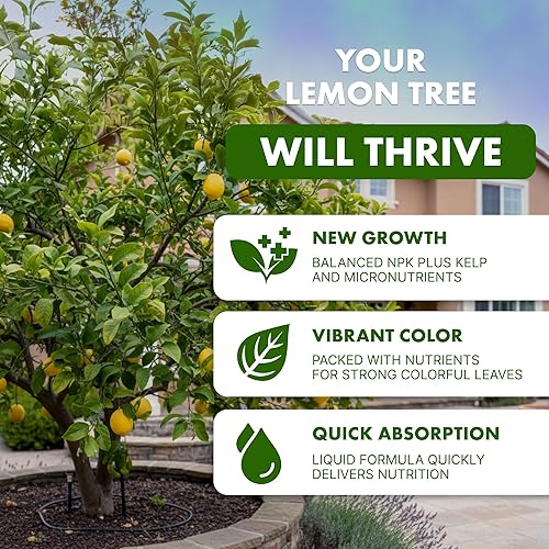 Miniatura 2 de Fertilizante de árbol de limón para limoneros y cítricos, alimento líquido para plantas, 32 onzas (1 cuarto de galón)