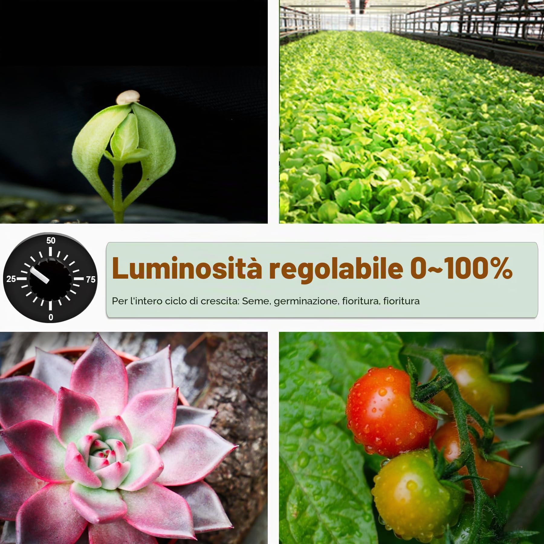 ICEKO 240W Lampada LED per Piante da Interno, Luce di Coltivazione a Spettro Completo 3x3ft, Grow Light per Indoor Veg e Bloom
