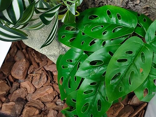 Miniatura 7 de Woyrise Plantas artificiales de reptiles con base, decoración de terrario, planta de hábitat de anfibios, accesorios de tanque de dragón barbudo,