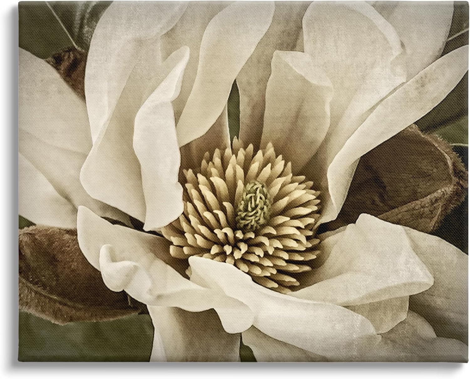 Stupell Industries Rustic Flower Close Up Canvas Wall Art by Rachel Perry