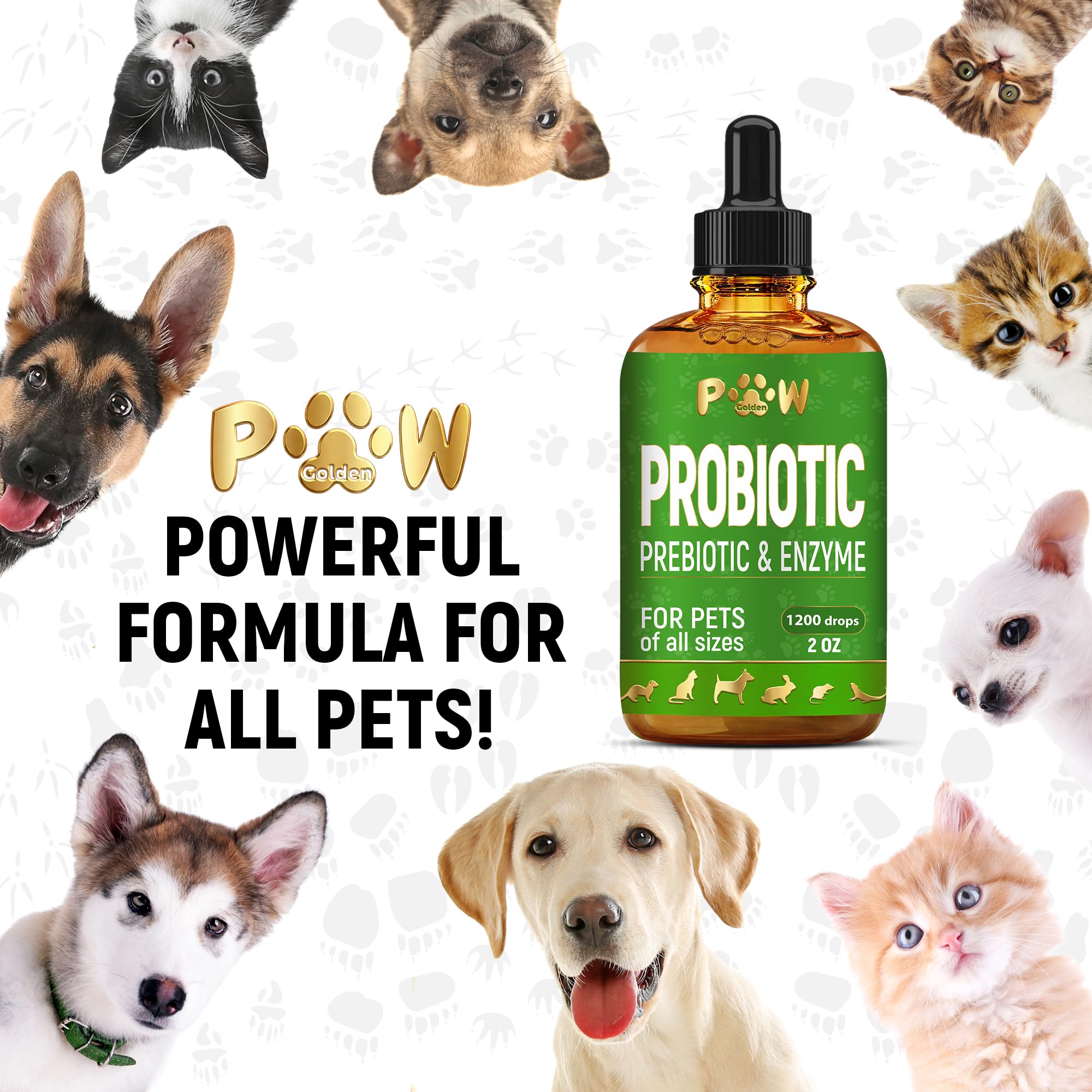 Liquid Probiotics for Dogs & Cats of All Ages | Dog Probiotics to Provide Digestion Balance | Prebiotic Blend for Harmonious Food Absorption | 3 Billion CFU | Herbal Flavor | 2 Oz — Amazon image 9
