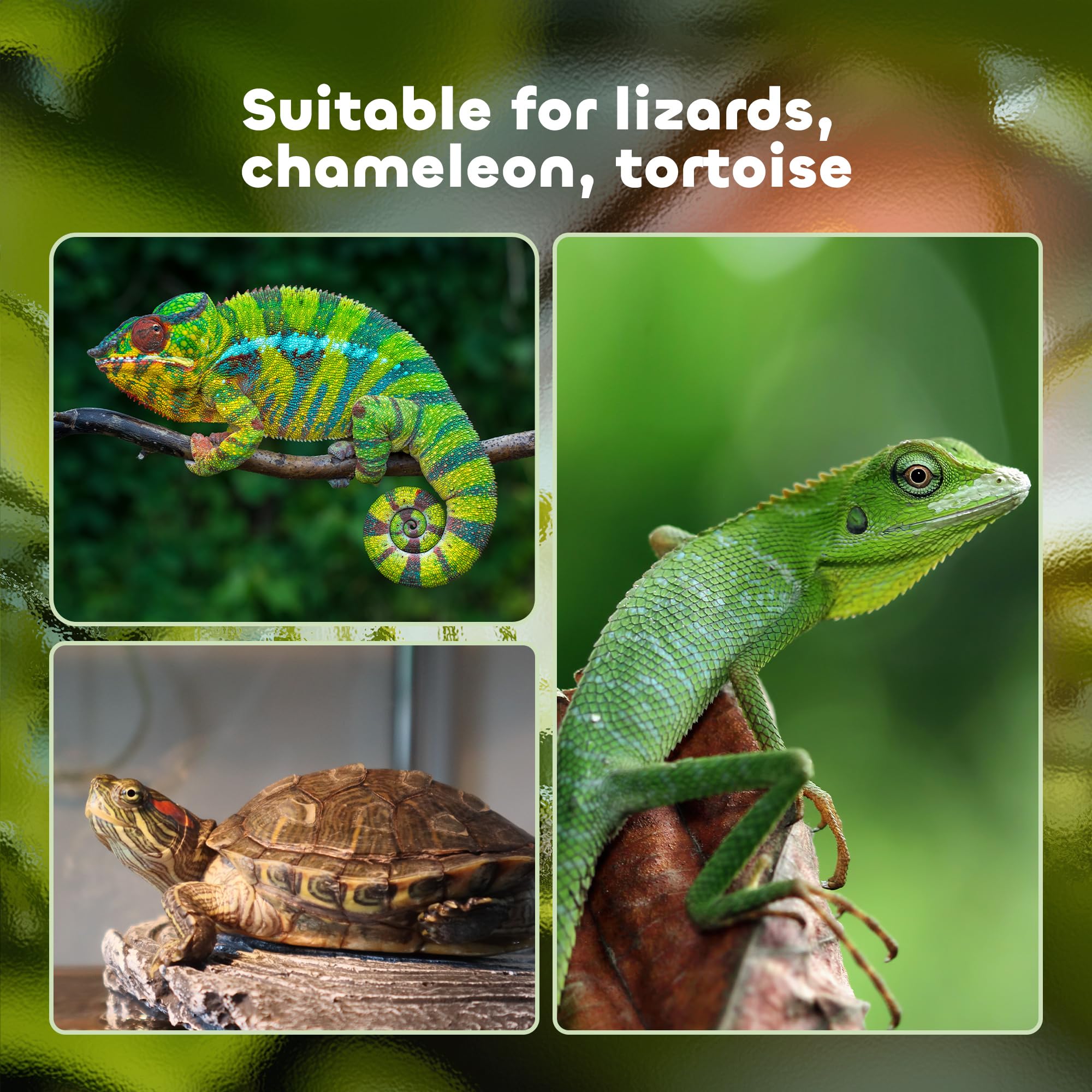 PawHut Terrarium für Landschildkröten, Chamäleon, Leguan, Gecko und Reptilien mit Thermometer 18-34℃, 60x40x40,5cm, Schwarz