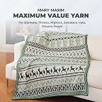 Mary Maxim Maximum Value Fil acrylique pour le crochet et tricotage, Fil de poids doux et plus mauvais 4, Idéal pour les couvertures, les chandails, les chapeaux et les écharpes, 8 oz Skein (474 Yds), Ombre Verte
