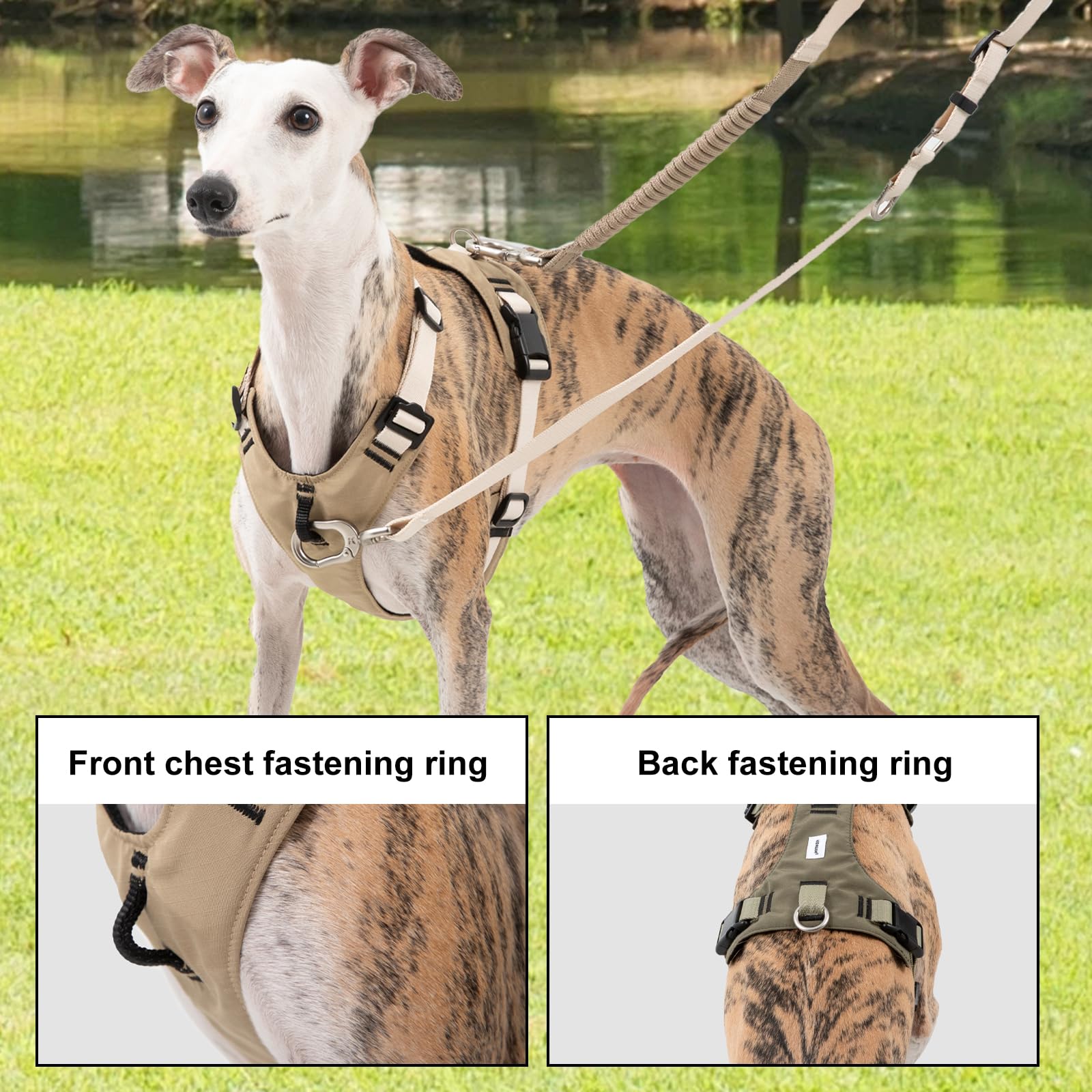 H-Style Harnais pour chien anti-traction, anti-étranglement en nylon avec clips avant et arrière et 4 boucles réglables jusqu'à 35 kg (marron, L)