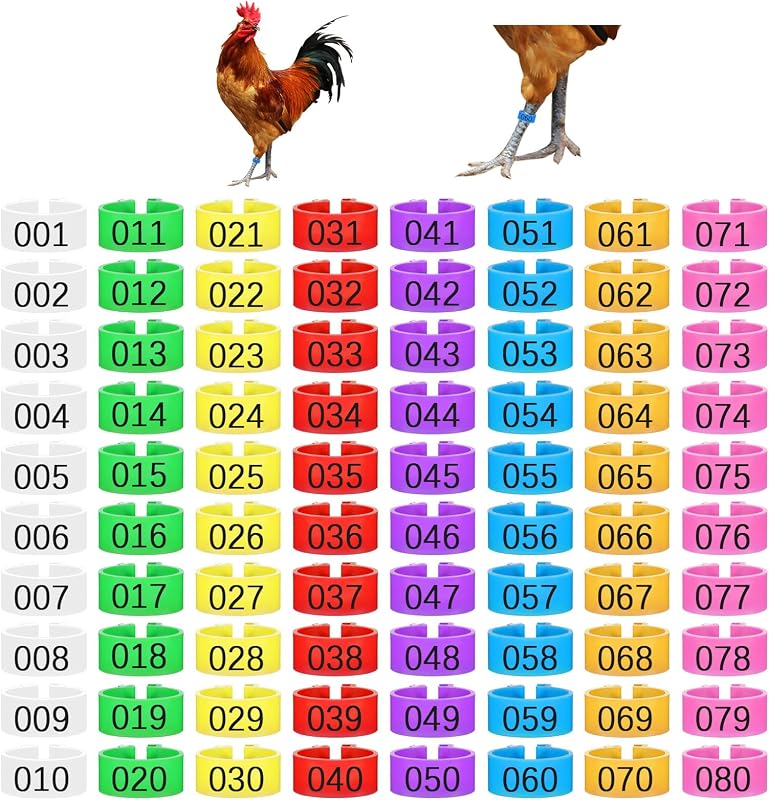 80 PCS Chicken Leg Bands, 1-80 Numbered Poultry Leg Bands 16mm Plastic Chicken Identification Rings, 8 Colors Coded Legs Band for Farmers Chickens Quail Chick Duck Bird