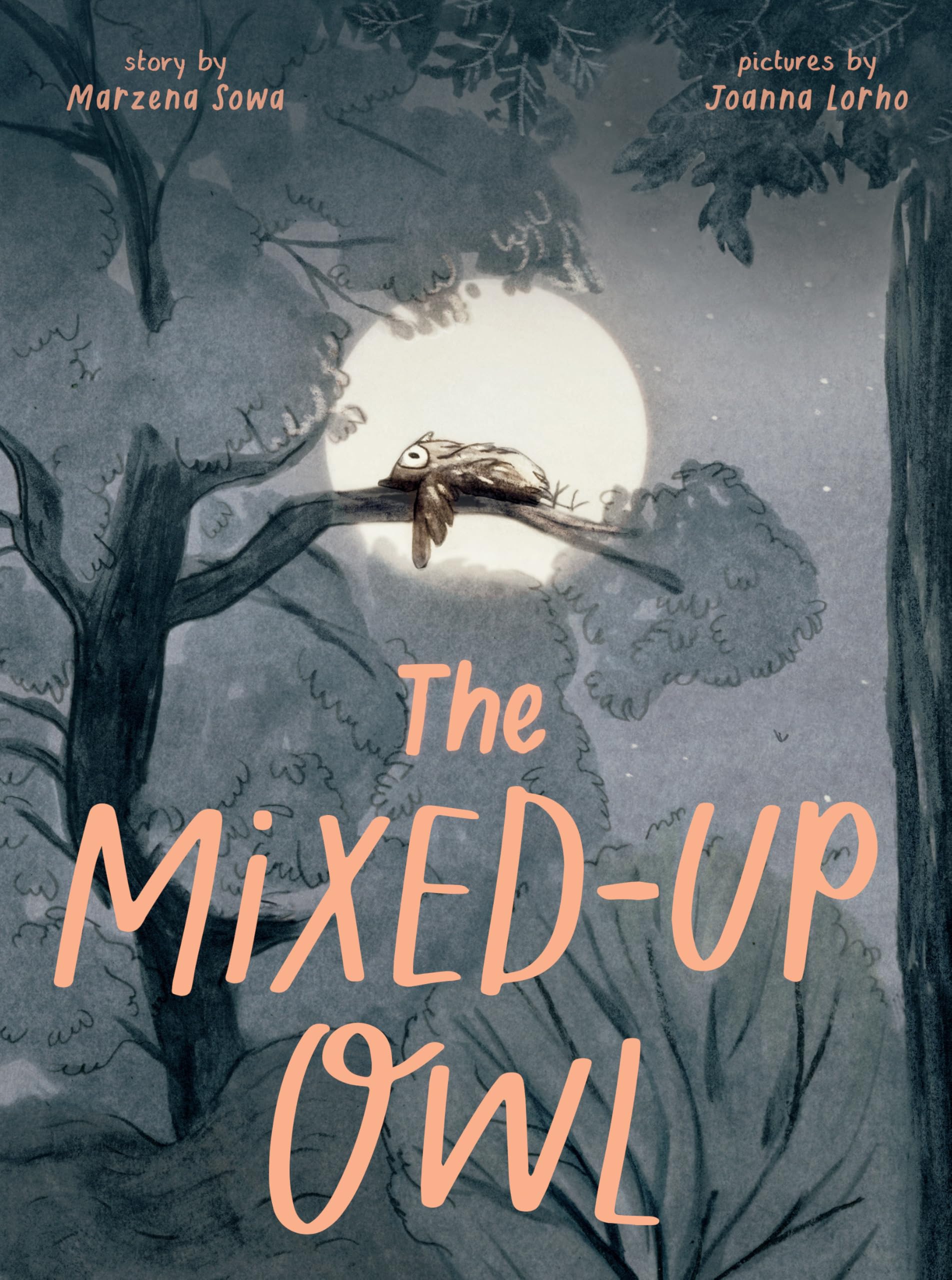 The Mixed-Up Owl by Sowa, Sowa,  New 9781662640933 Fast Free Shipping^*