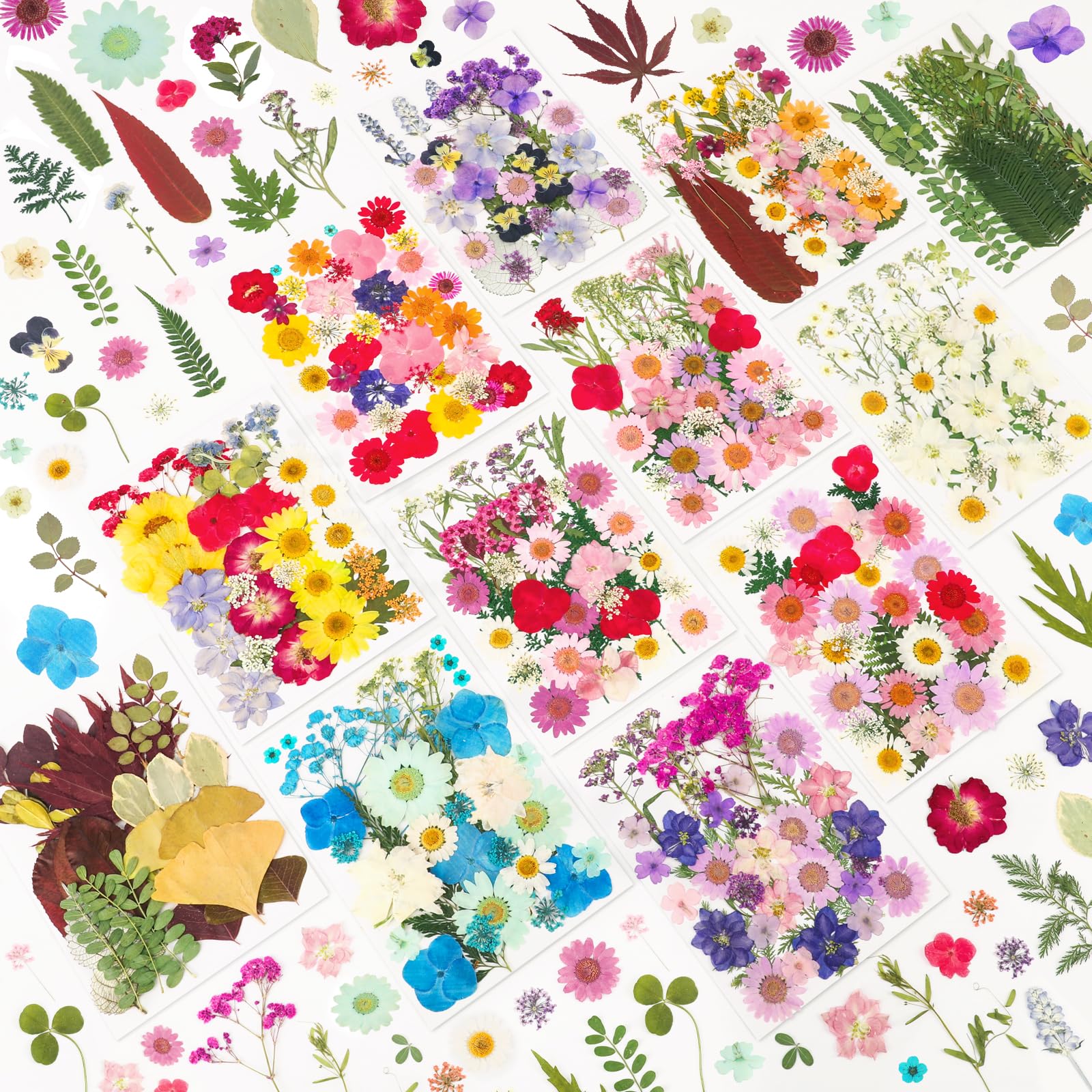 420 Pcs Dried Pressed Flowers for Resin,Real Nature Dried Flower for Crafts