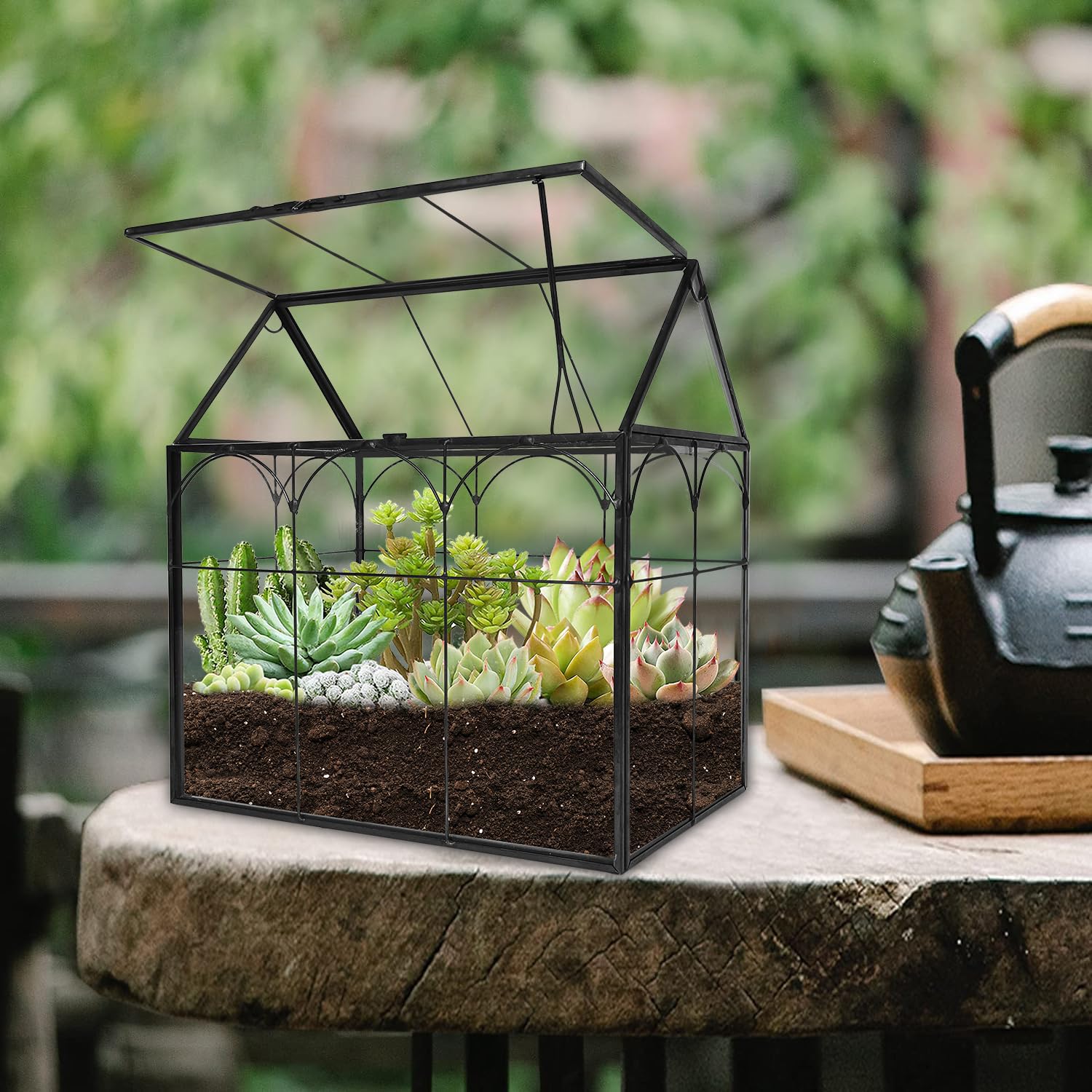 Terrarium en verre 22 cm pour plantes carnivores grasses géométrique